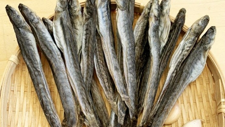 Loại "cá nhà nghèo" ngọt như mì chính, được ví là "sâm nước", giá tới nửa triệu đồng 1kg