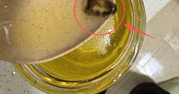 Có 5 thứ trong nhà "bị hỏng" trước hạn sử dụng! Xem để không đánh cược với sức khỏe gia đình bạn