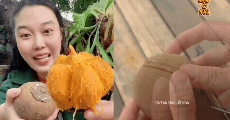 Cơn sốt quả lạ Chupa Chupa "vỏ dừa, ruột xoài, mùi hồng treo gió" đang khiến dân tình rần rần săn lùng