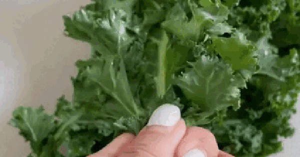 "Vua rau xanh" bán đầy chợ Việt, giàu chất xơ, càng ăn da càng đẹp, chị em đua nhau mua