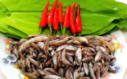 Loại cá "nhà nghèo" xưa ra đồng bắt về ăn, nay thành đặc sản ngon và hiếm giá 400.000 đồng/kg vẫn hút khách