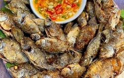 Chiên cá đừng chỉ dùng dầu ăn: Thả thêm một mẩu này vào chảo, cá giòn rụm, không bắn dầu mà lại thơm "gây nghiện"