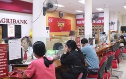Cơ quan Thuế có thông báo quan trọng, hộ kinh doanh cả nước thuộc trường hợp sau phải hoàn thành chậm nhất vào 31/7