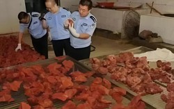 Theo dõi suốt 2 tháng, phanh phui đường dây sản xuất thịt giả doanh thu 19 tỷ đồng, thu giữ 2,2 tấn thịt chất thành "núi"
