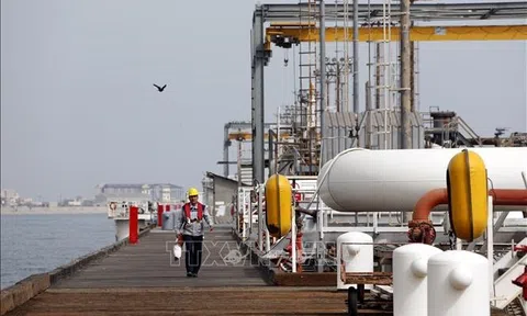 Giá dầu thế giới giảm mạnh nhất trong vòng gần 1 năm